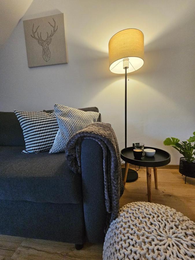 Horsky Apartman Miki Filipovice Exteriör bild
